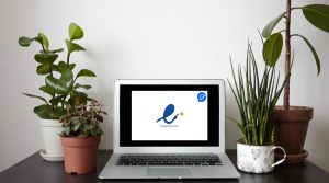 دریافت اینماد با خط تلفن اینترنتی نواتل