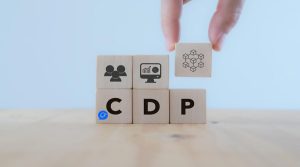 پلتفرم داده مشتری (CDP) یا CRM؛ کدام یک انتخاب مناسب‌تری است؟